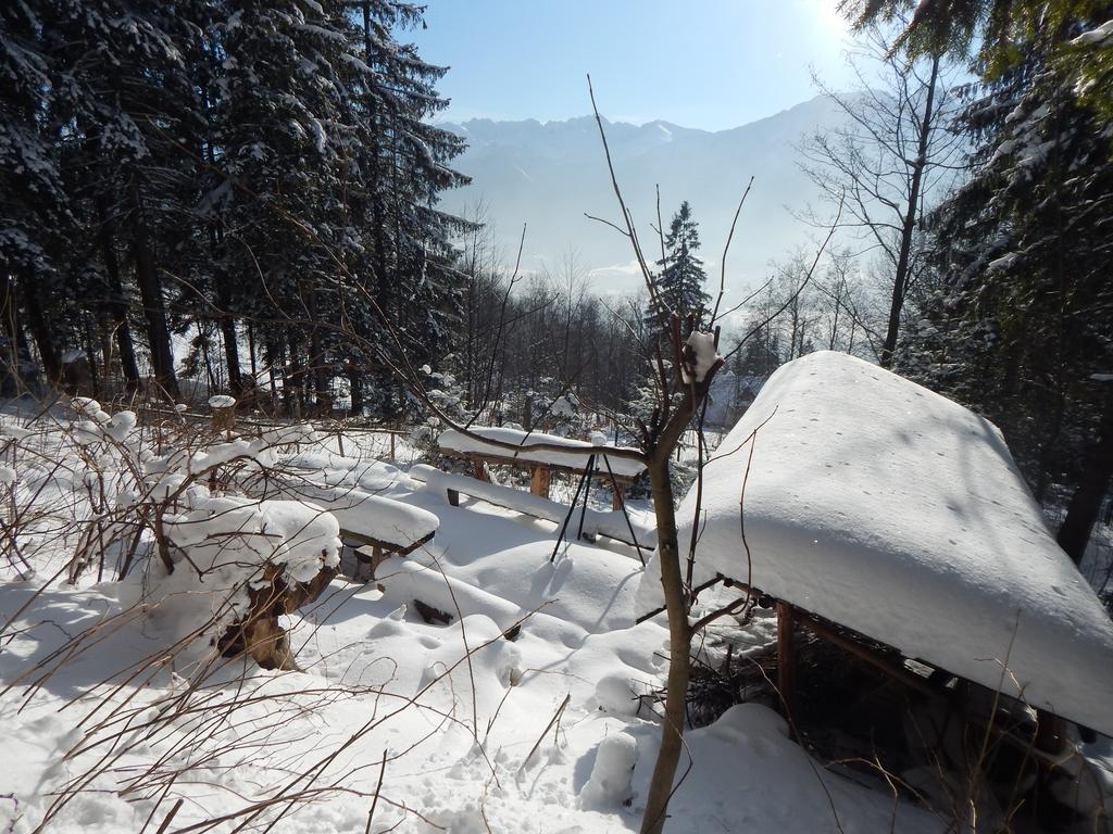 Chata Stacha Villa Zakopane Exteriör bild